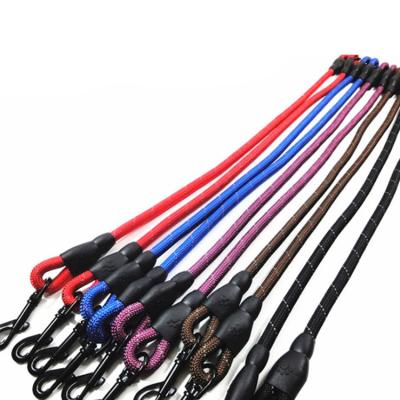 China Padded Thoughtful Double Leash Tangle Free 2 Leashes Double Dog Leash For Small Medium Puppies for sale