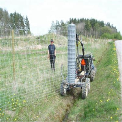 China Fence Mesh Grassland Mesh Fence / Sheep Livestock Fence for sale