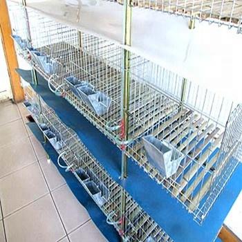 China Rabbit Cages / Rabbit Cage /Pet Rabbit Cage Farming Cage for sale