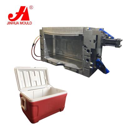 China Making all kinds of plastic coolers plastic blow molding box custom cooler mold for sale