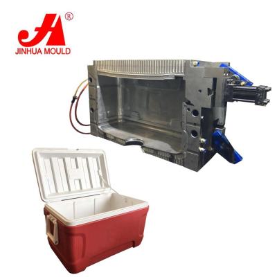 China Making All Kinds of Plastic Coolers Plastic Ice Box Cooler Mold for sale