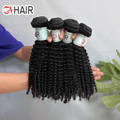 China Raw Single Drawn Cuticle Curly Wave Double Lined Curly Vietnamese Hair, Russian Vietnamese Hair Extensions, Vietnamese Hair Porcelain for sale