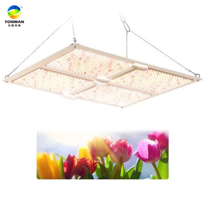 China Seed Starting All High Power Indoor Commercial Led Plant Growing Lights Vertical Agriculture Led Grow Light for sale