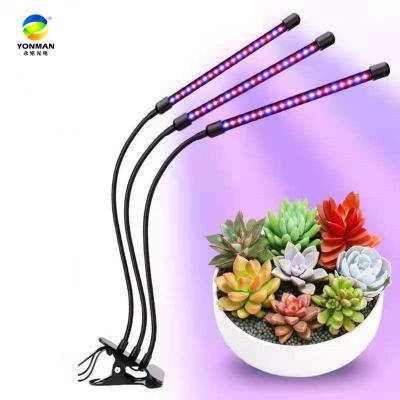 China 30W indoor plant led grow lights near me for indoor plants grow bulb for sale