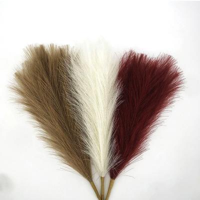 China Hot Product Wholesale Dried Natural Flower Bouquet Dried Natural Pampas Grass For Decoration for sale