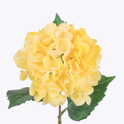 China Real Touch Cloth+ Plastic+ Yarn Real Touch Artificial Flower Centerpiece Silk Latex Hydrangeas High Quality Touch High Quality Real Silk Flower for sale