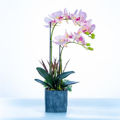 China Latex+Silk fabric+Ceramics+Plastic Artificial Flower With Vase Orchid Flower Real Touch Orchid Flower With Pot For Home Ministry Decorations Fake Butterfly Orchid for sale