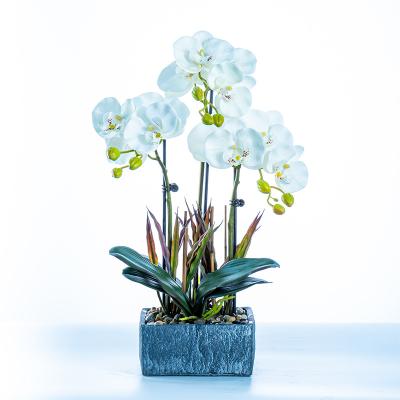 China Wholesale Real Touch Latex+Silk fabric+Ceramics+Plastic Butterfly Orchid Butterfly Orchids Wholesale Artificial Real Touch Phalaenopsis Wedding Decor Butterfly Orchids Flowers Long Stem Large for sale