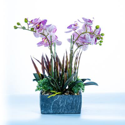 China Latex+Silk fabric+Ceramics+Plastic Real Touch Fake Latex Long Stem Long Stem Butterfly Orchid Artificial Blue Butterfly Orchid for sale