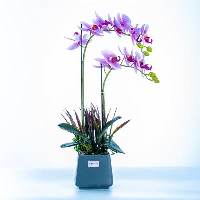 China High Quality Latex+Silk fabric+Ceramics+Plastic Artificial Flower Bonsai Home Decorative Butterfly Orchid For Sale 3d Real Touch Butterfly Orchid for sale