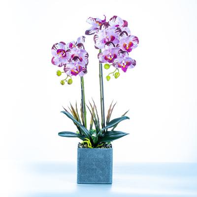 China Artificial Silk Phalaenopsis Orchids Real Latex+Silk fabric+Ceramics+Plastic Butterfly Latex Orchid Butterfly Touch For Wedding Home Decor for sale