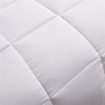 China Home Custom Hilton Goose Duck Feather White /King/Queen Down Size Filled Bedding Comforter Duvet for sale