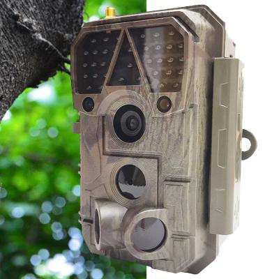 China Wildcamera Affordable Factory Wifi Price 32Mp Picture And 1080P Video Hot Selling A370W for sale