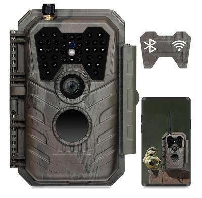 China Wifi Trail Camera Wifi Hunting Camera Trail 940Nm Glow Night Vision Photo No Trap Infrared Camera Hunting for sale