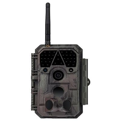 China Wifi Game Camera Wifi Scouting Hunting Camera Night Vision Camera For Hunting Free Mobile App Support for sale