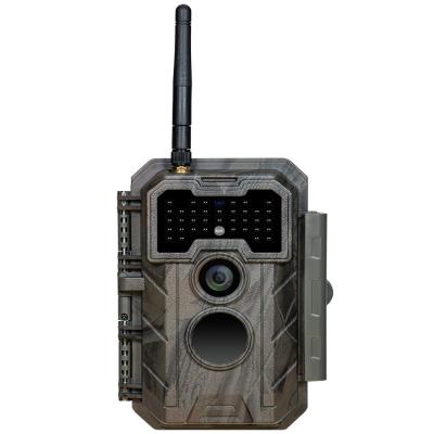 China Wifi Increased Signal Stable Game Camera Hunting Trail Camera Outdoor Wifi Security Cameras Free Mobile Radio App for sale