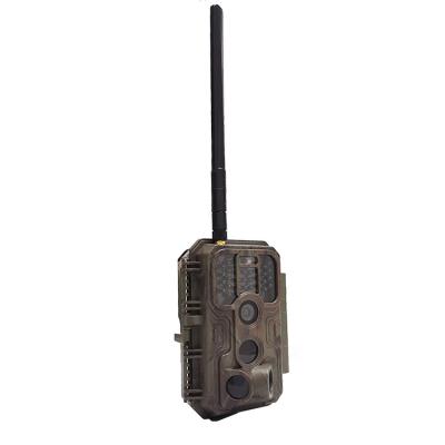 China Wireless Trail Cameras 4G Lte Wifi Ip66 Trail Cameras No--glow Waterproof Cellular Cellular Trail Camera for sale