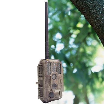 China App Fixing 4G LTE Wireless Trail Camera Waterproof IP66 Affordable Price for sale