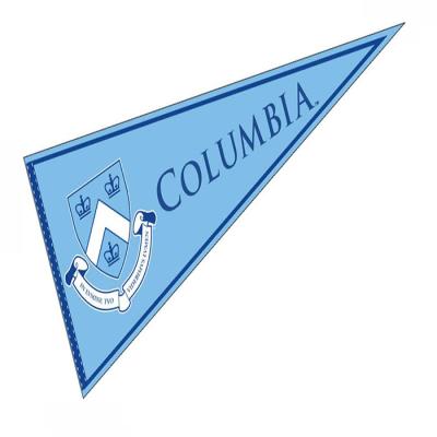 China Healthcare Institute Amazon Outdoor Camping Felt Flag Holiday Pennant Custom Atmosphere Flags for sale