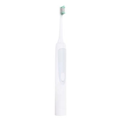 China ABS Electric Oral Toothbrushes Electric Toothbrush New Ultra Whitening Electric Toothbrush with 3 in 1 for sale