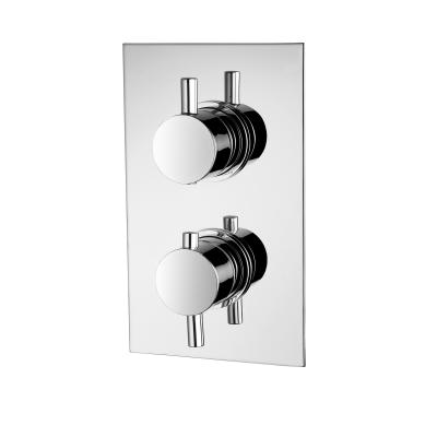 China More Finishes Concealed Shower Mixer For Modern Bathrooms T8561 for sale