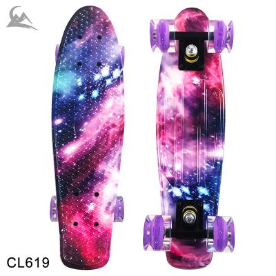 China Youth 22 Inch Full Wheels LED 4 Wheel Skateboard High Quality Aluminum Heavy Fish Skateboard for sale