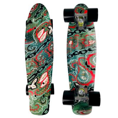 China Young Complete 22 Inch Fish Skateboard for sale