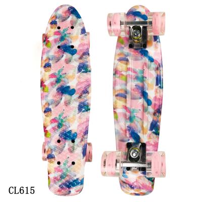 China Young Complete 22 Inch Fish Skateboard for sale