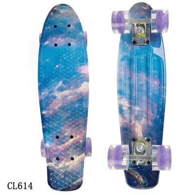 China Young Complete 22 Inch Fish Skateboard for sale