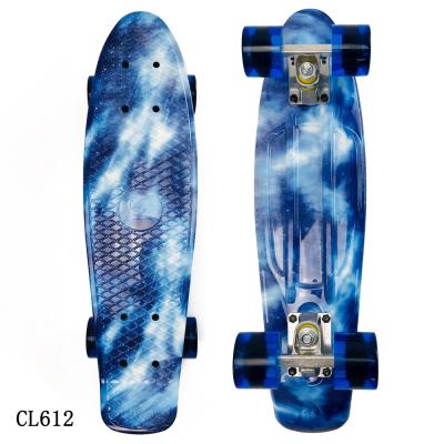 China Young Complete 22 Inch Fish Skateboard for sale