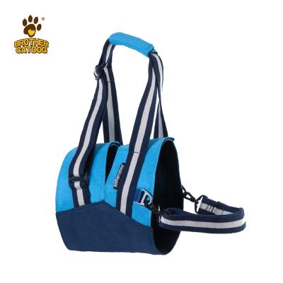 China 2021 Dog Support Harness Sustainable Rehabilitation Equipment And Lifts Walking Dog Harness for sale