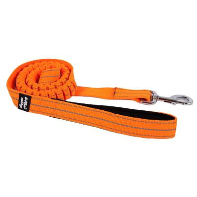 China 2021 New Design Bungee Dog Leash Viable Manufacturer Wholesale Hand Free Dog Leash Suit For Strong Dog for sale