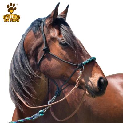 China Outdoor horse flymask horse rope pet products Spandex viscous fabric fancy outdoor horse halters for sale