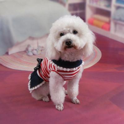 China Viable Dog Skirt Spring Winter Princess Dress Dogs Clothes Small Luxury Dog Dress Winter for sale