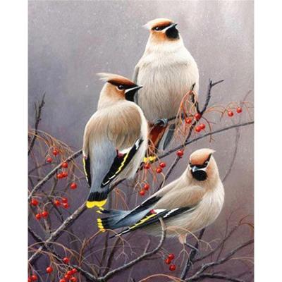 China Animal Diamond Painting Bird Cross Stitch Kit Handcraft Diamond Embroidery Full Drill Square Modern Home Decoration Wall Art for sale