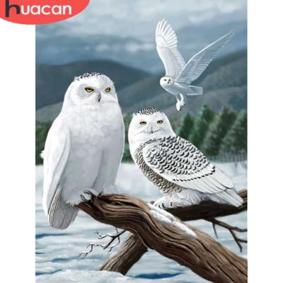 China HUACAN Home Decor Sale Full Drill Diamond Painting 5D Mosaic CLASSIC Owl DIY Diamond Art Embroidery Animal New Arrival for sale