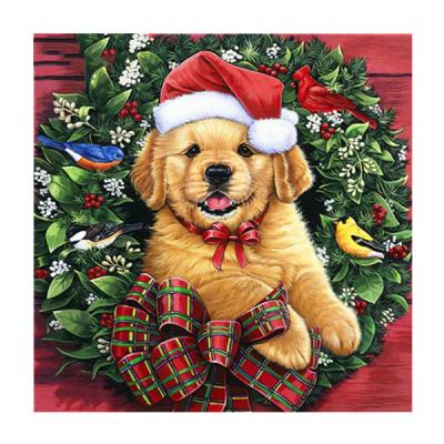 China Diamond Painting Dog Animal Square Art Kit Dropshipping Diamond Embroidery Mosaic Christmas Xmas Decoration Support Full Customization HUACAN for sale