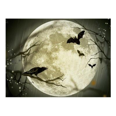 China Wholesale Diamond Embroidery Halloween Art Kits Full Support Customization HUACAN Halloween Diamond Painting Crow Moon Scenery Square Decoration for sale