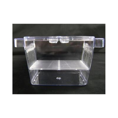 China Viable Multifunctional Acrylic Single Layer S Size Isolation Aquarium Tank Floating Fish Roe Incubator Hatching Box for sale