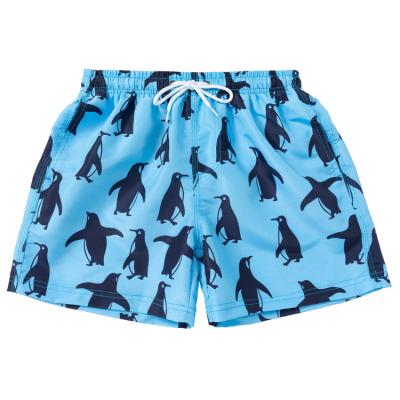 China Anti-wrinkle New Design Penguin Waistband Cute Print Breathable Quick Dry Boys Swim Shorts for sale