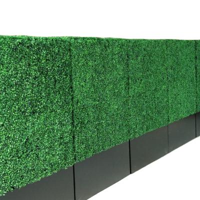 China Different Size Green Artificial Hedge Fence Vertical Garden Boxwood Wall for sale