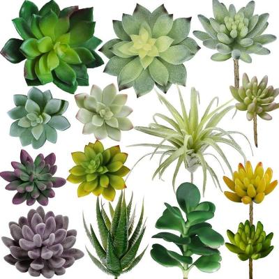 China 14 Pcs Unpotted Assorted Succulent Succulents Eco-Friendly Faux Artificial Succulent Plants Picks For Flower Arrangement Home Decoration for sale