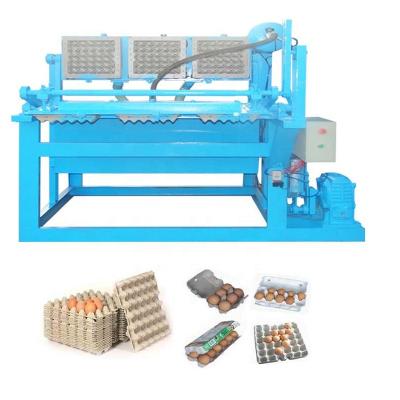 China Full Automatic Factory Beston Egg Carton Tray Making Machine Paper Pulp Molding Plant for sale