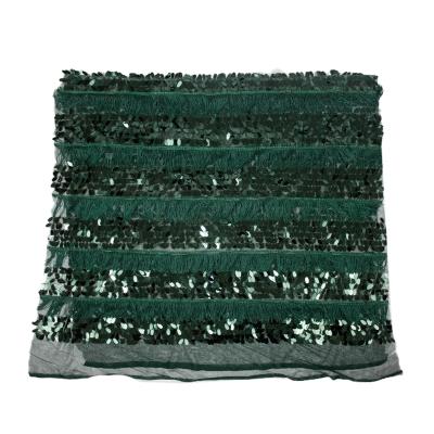 China Memory Sequin Embroidery Fabrics Tassels Upholstery Fabric Order Fabric For Clothing Accessories for sale