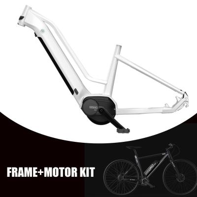 China Custom Aluminum Cruisers Trekking Bike Frame eBike Frame For Rear Hub Motor for sale