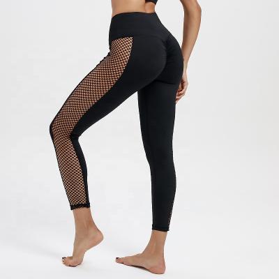 China Breathable Sports Clothing Manufacturers Breathable Gym Wear Active Yoga Mesh Pants for sale