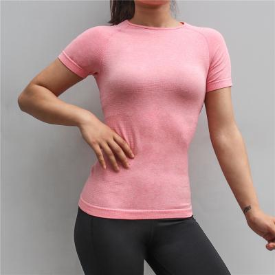 China Anti-Static Wear Custom Gym Fitness Yoga Seamless OEM T Shirts for sale