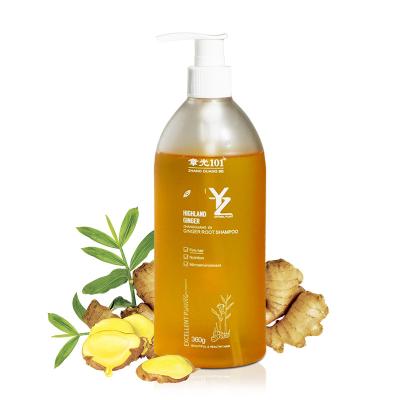 China Daily Hair Cleansing Wholesale Hair Care Products Hair Growth Shampoo And Conditioner for sale