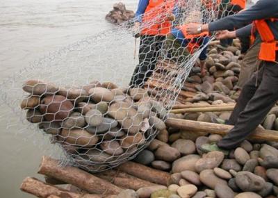 Cina Gabbia galvanizzata della maglia del gabbione del sacco/forma esagonale immersa calda foro delle borse in vendita