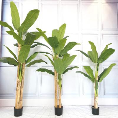 China Minimalist in Simulation Current Wholesale Indoor Outdoor Decorative Artificial Banana Tree Plant for sale